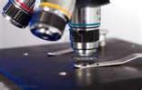 mold test kits